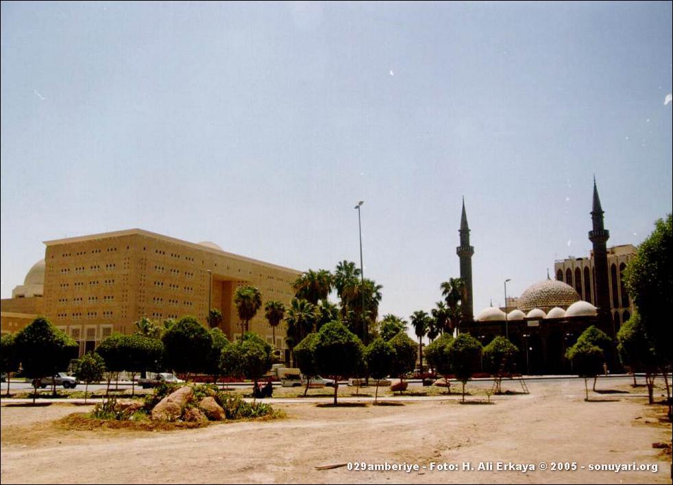 029amberiye