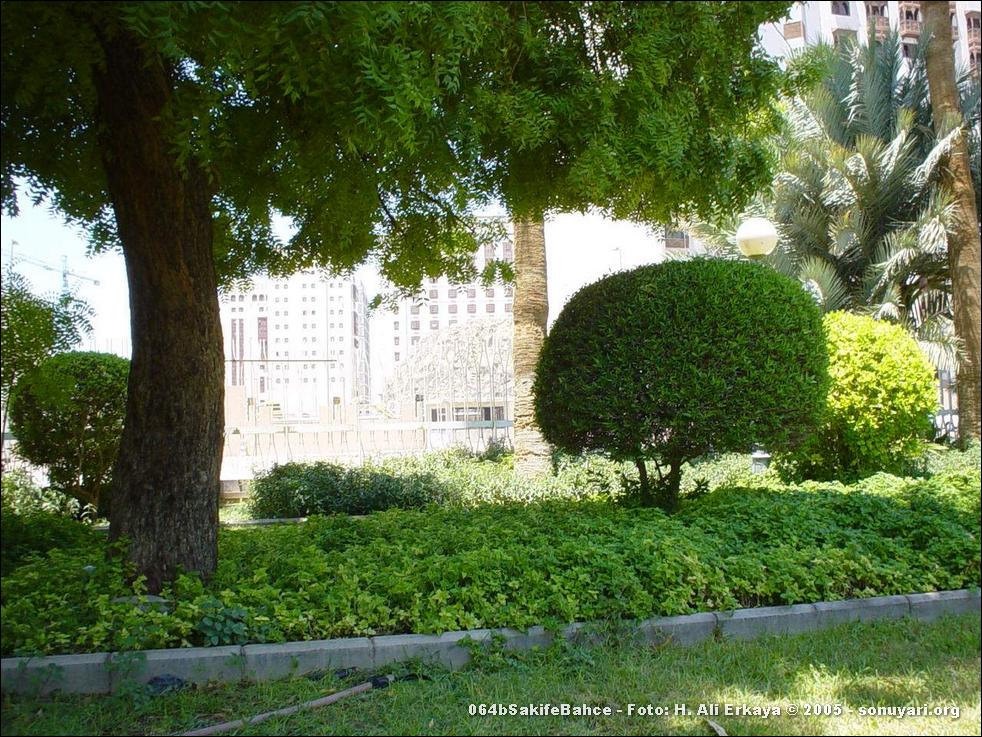 064bSakifeBahce