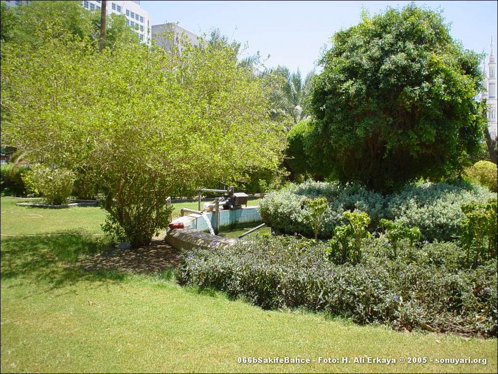 066bSakifeBahce