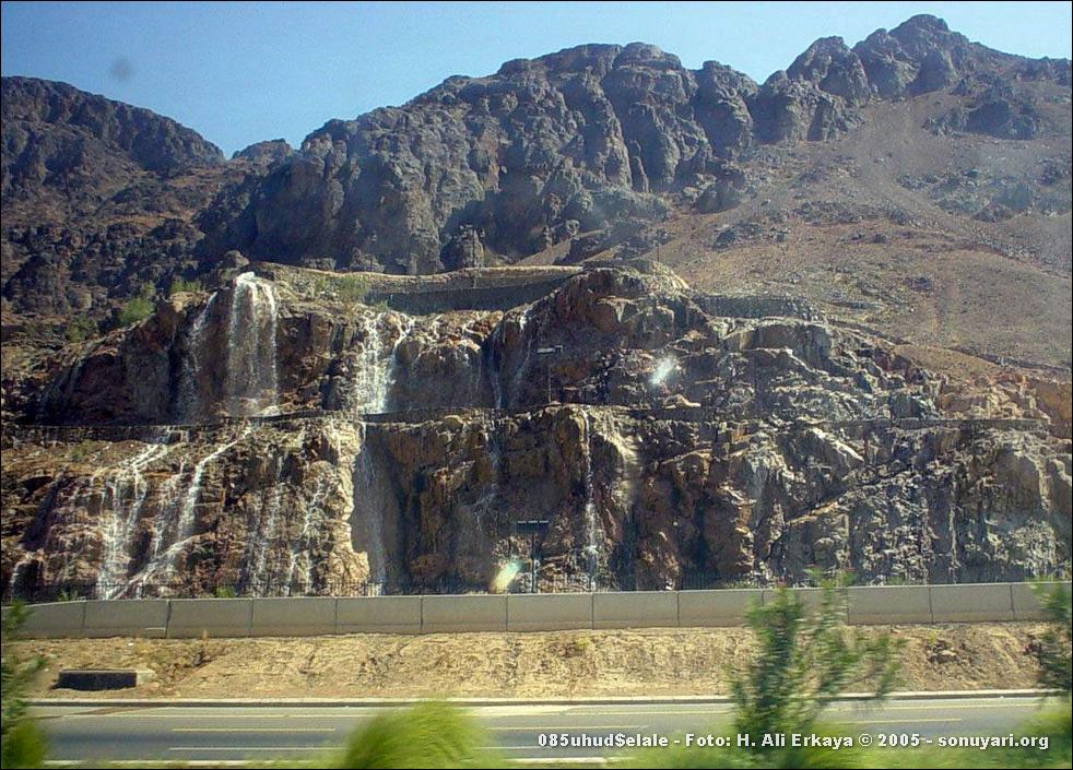 085uhud$elale