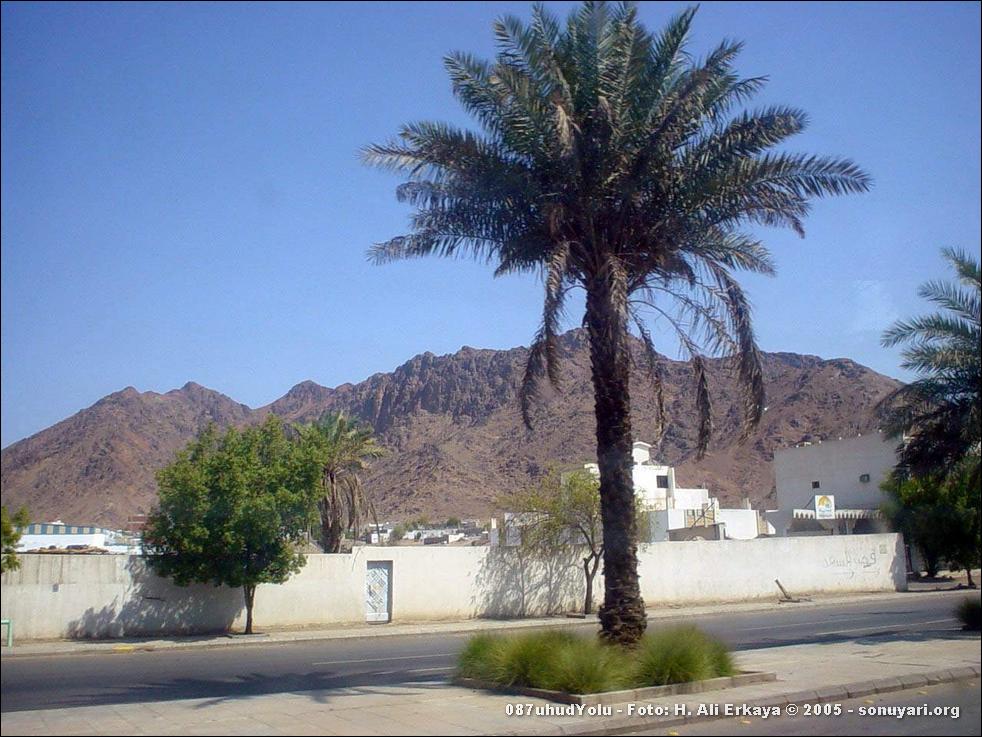 087uhudYolu