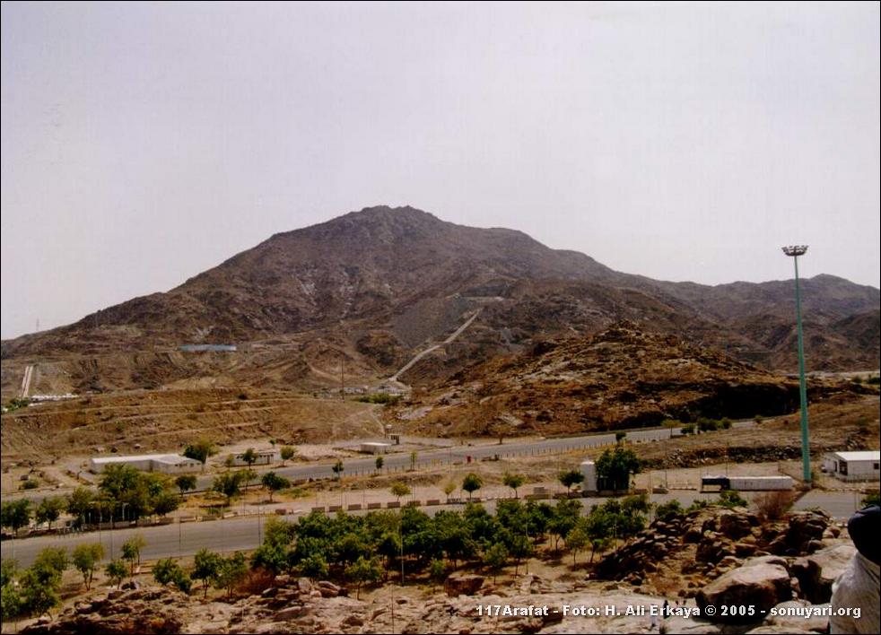 117Arafat