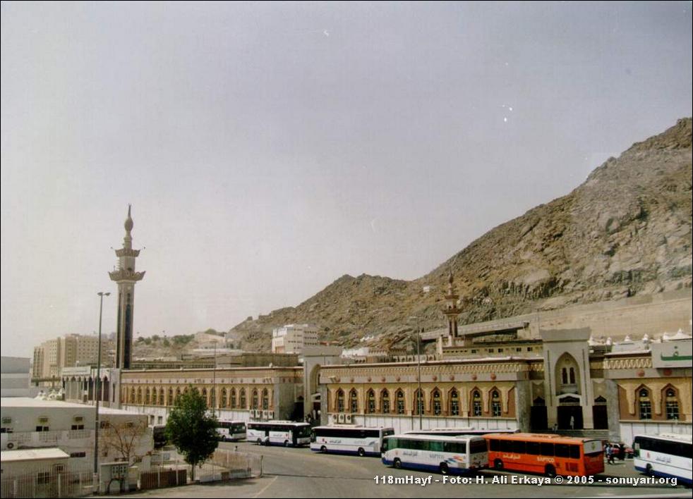 118mHayf