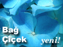Ba�-�i�ek Foto�raf Alb�m�