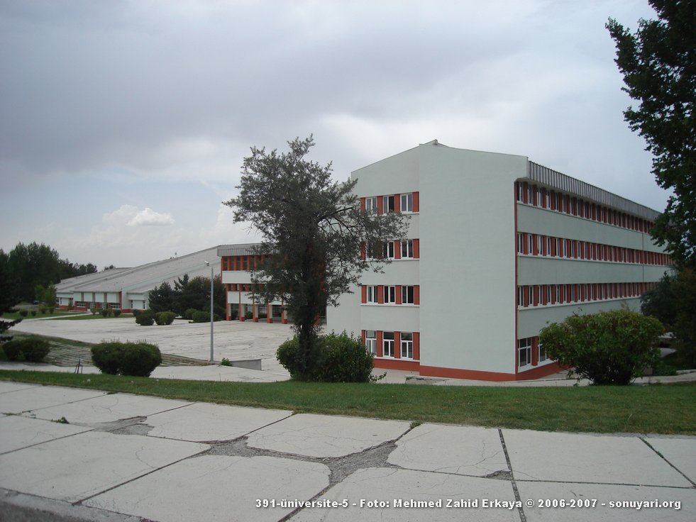 391_universite_5