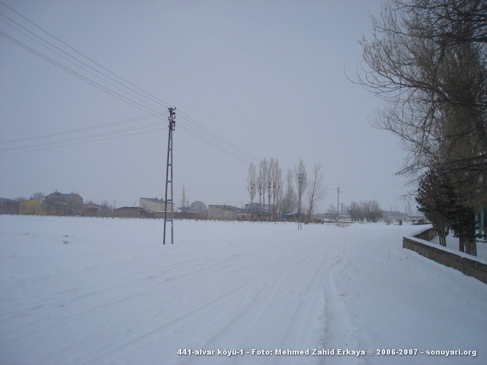 441_alvar_koyu_1