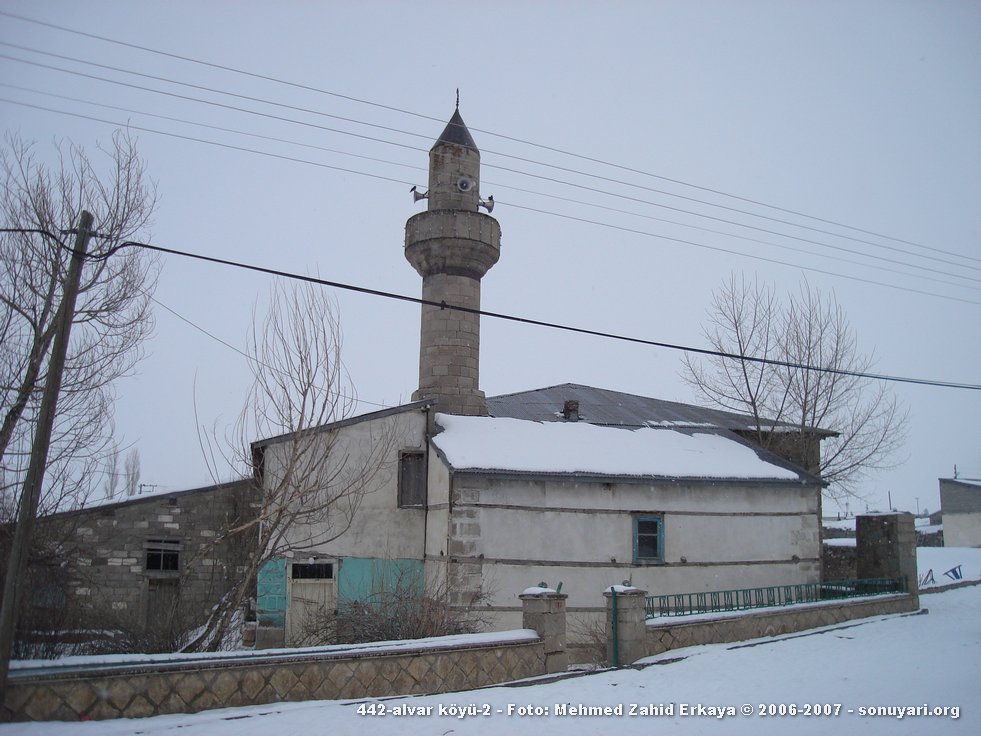 442_alvar_koyu_2