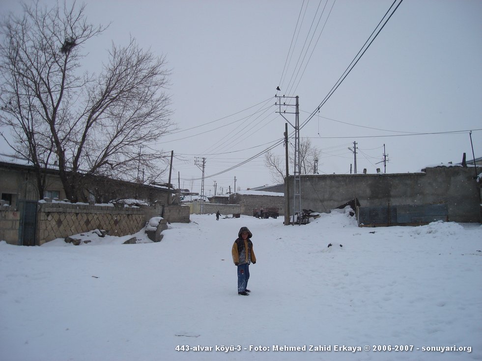 443_alvar_koyu_3