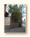 As�l Boyutuyla G�rmek ��in T�klay�n