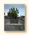 As�l Boyutuyla G�rmek ��in T�klay�n