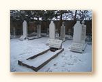 As�l Boyutuyla G�rmek ��in T�klay�n