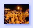 As�l Boyutuyla G�rmek ��in T�klay�n