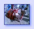 As�l Boyutuyla G�rmek ��in T�klay�n