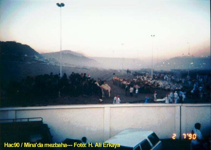 065MuzdelifedeMezbaha1990