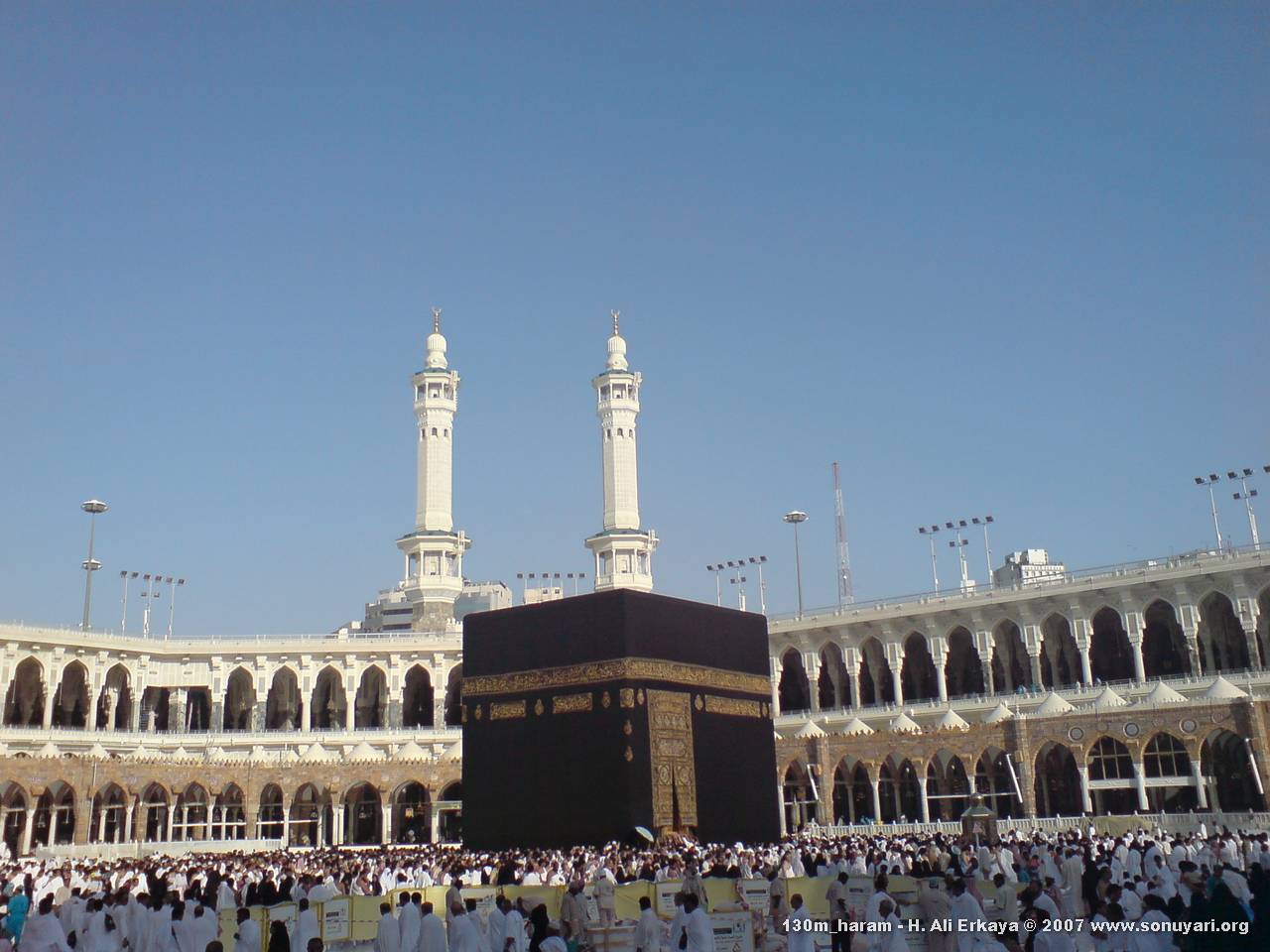 Туя Мекки Фото – Telegraph