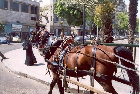 cairo30