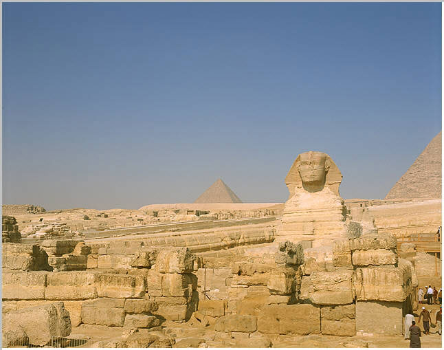 06Sphynx2