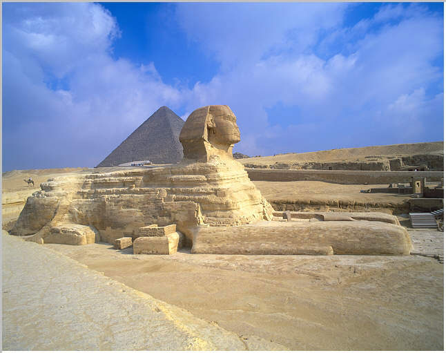 06Sphynx3