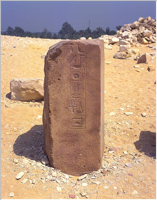 09Niuserre