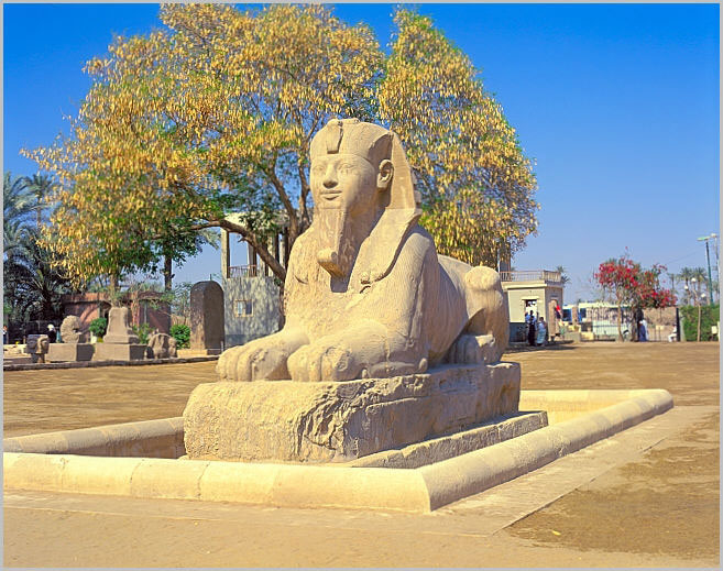 23sphynxMemphis