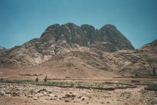 turiSina83