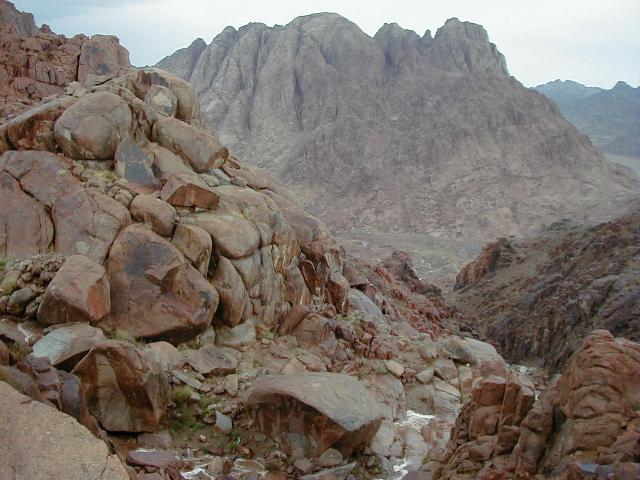 turiSina86