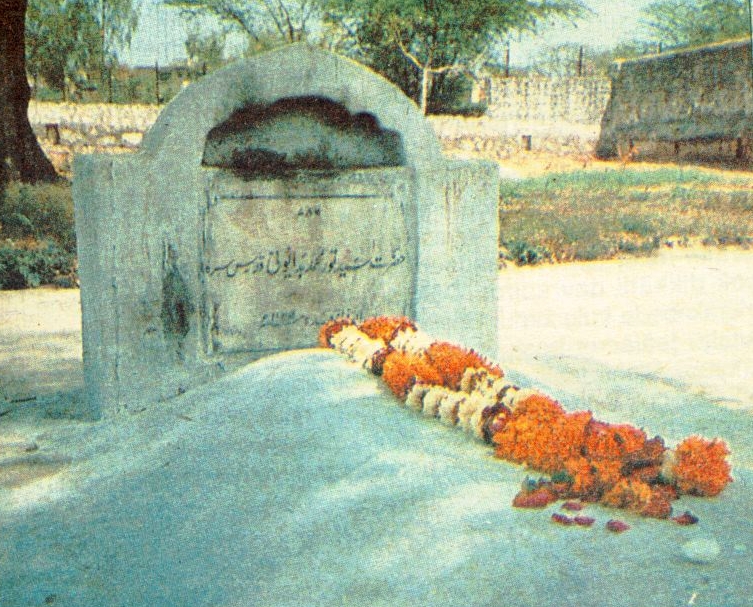 021_mBedvani