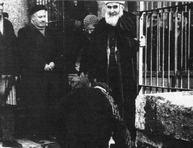 139_MehmedZahidKotku
