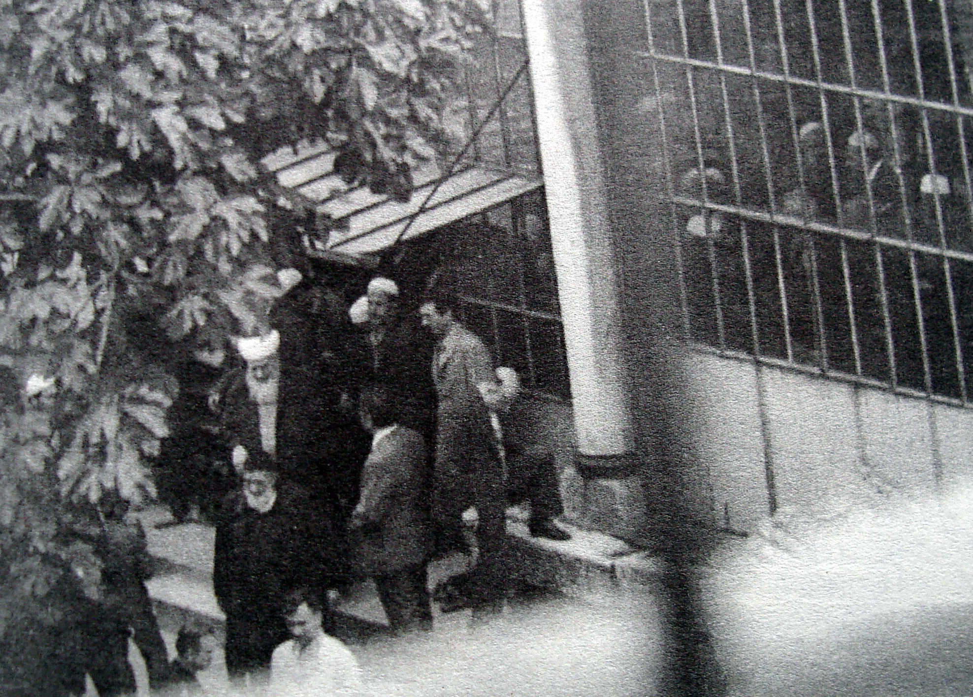 140_MehmedZahidKotku