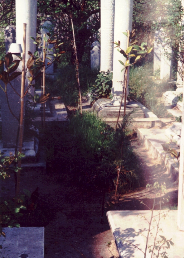 151_mzkKabir1980