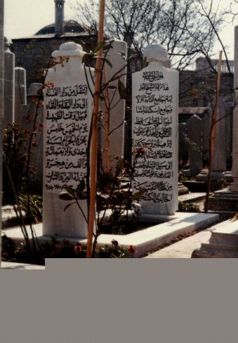 153_mzkKabir1983
