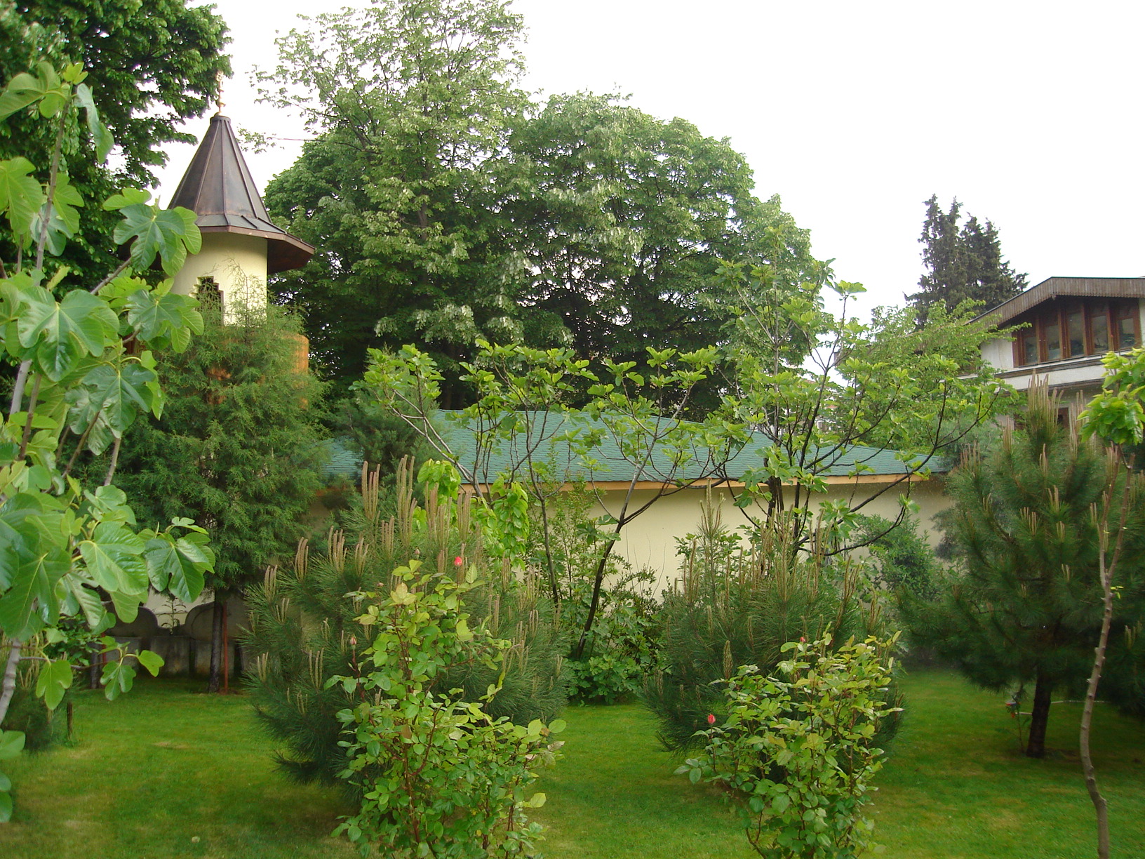 193_cilehane2006