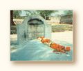 As�l Boyutuyla G�rmek ��in T�klay�n
