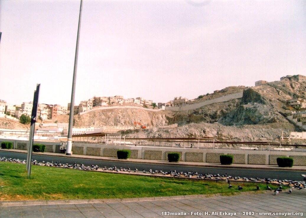 183mualla