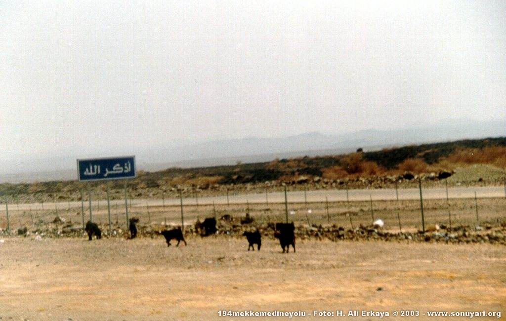 194mekkemedineyolu