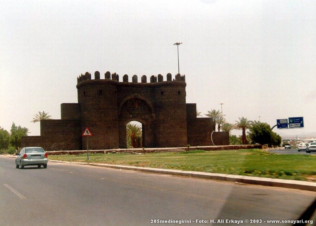 205medinegirisi