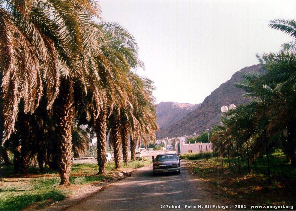 207uhud