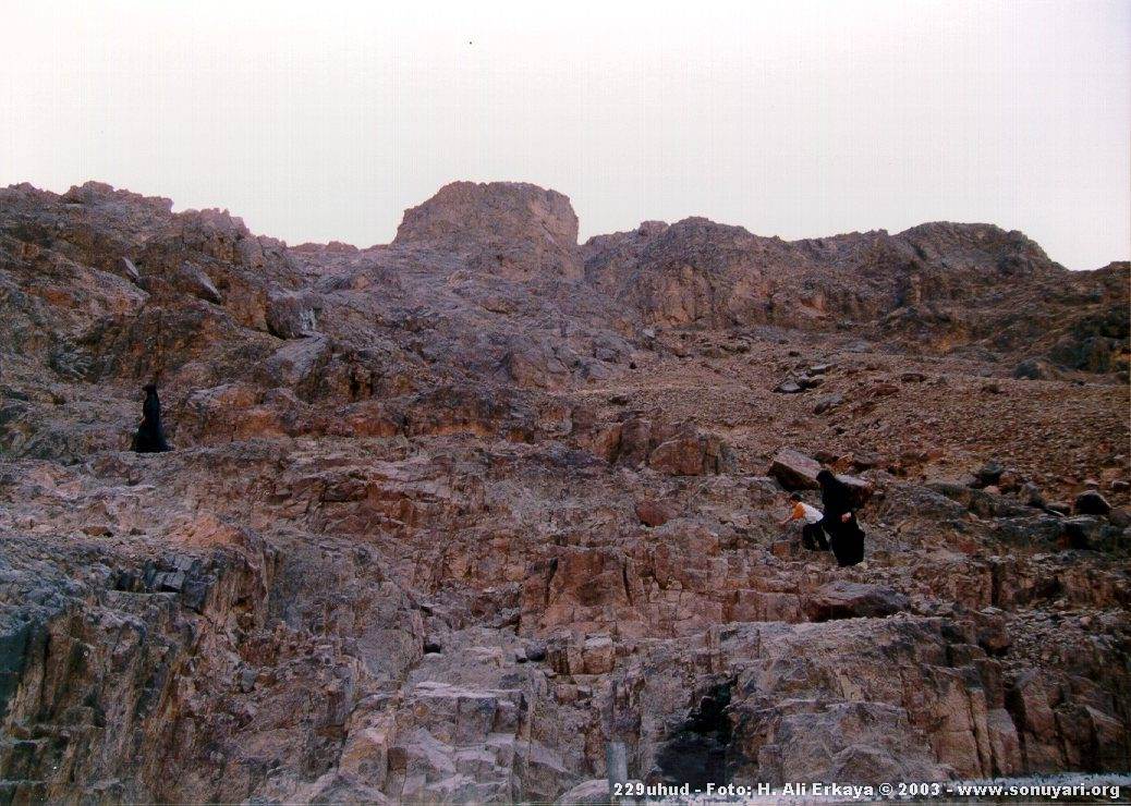 229uhud