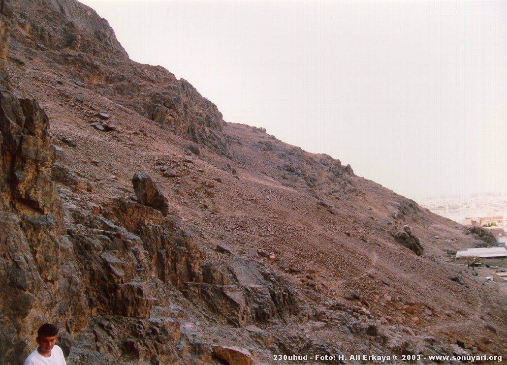 230uhud