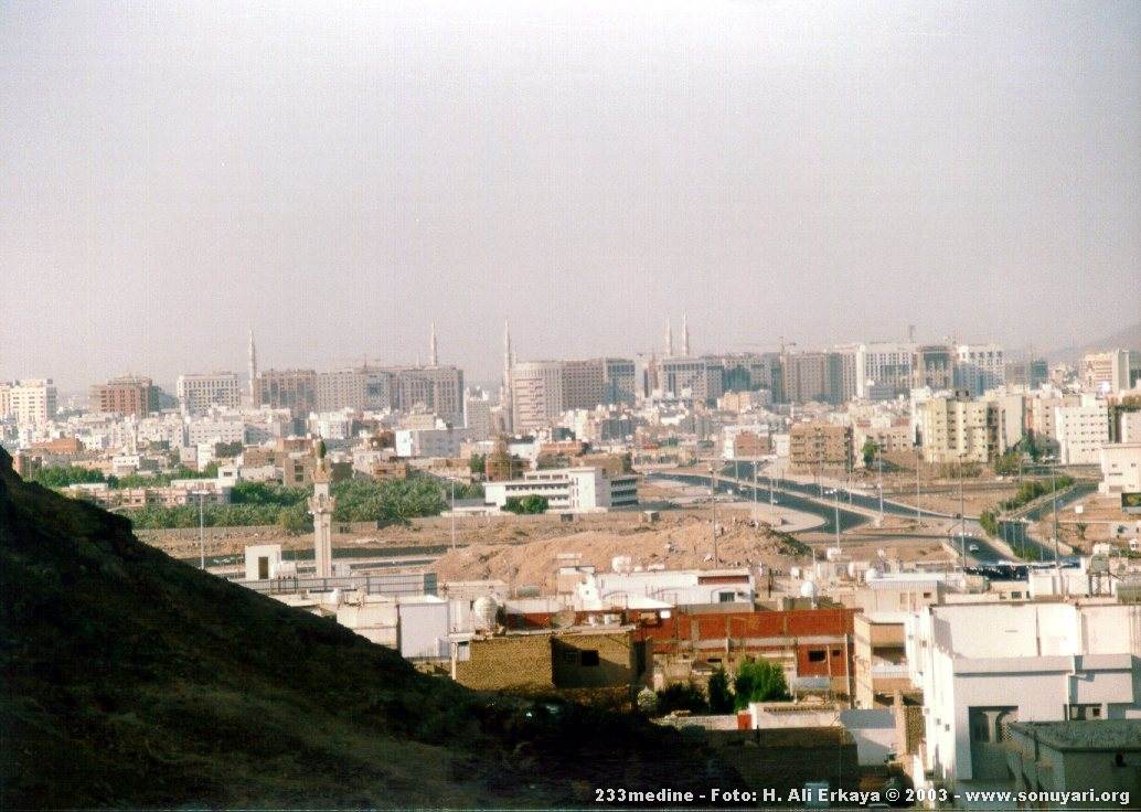233medine