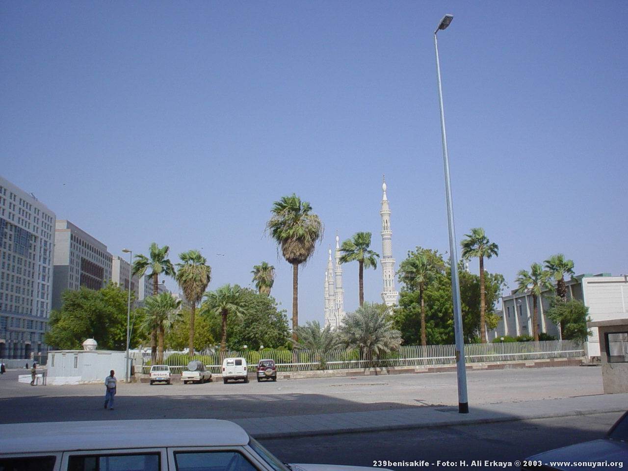 239benisakife