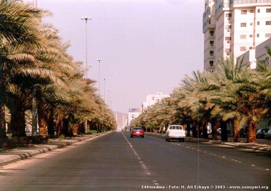 240medine