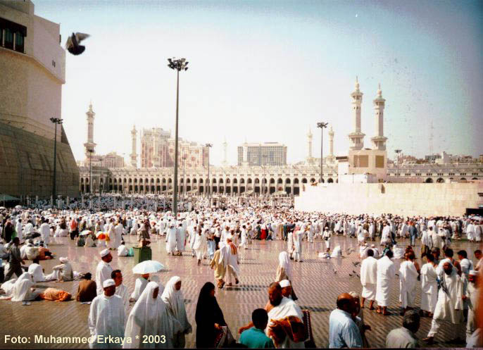 011m_haram